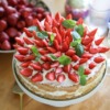 宮崎県のケーキ・スイーツ食べ放題まとめ6選【安いお店も】